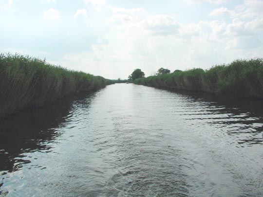 Auf der Unteren Havel, Sommer 2009