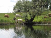 Untere Havel, Juni 2012, von Havelberg nach Ketzin