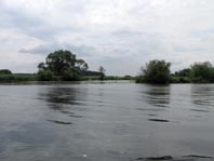 Untere Havel, Juni 2012, von Havelberg nach Ketzin