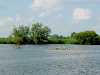 Untere Havel, Sommer 2009