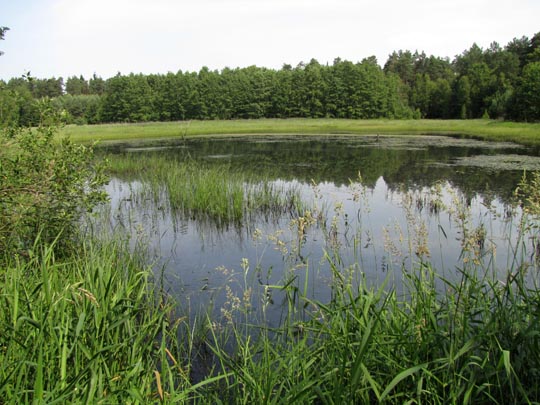 In der Ostprignitz, 2009 bis 2012