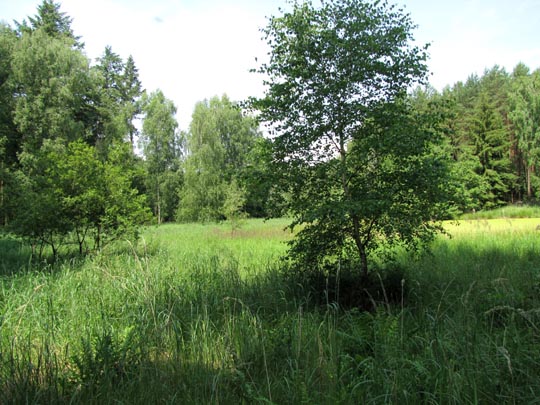 In der Ostprignitz, 2009 bis 2012