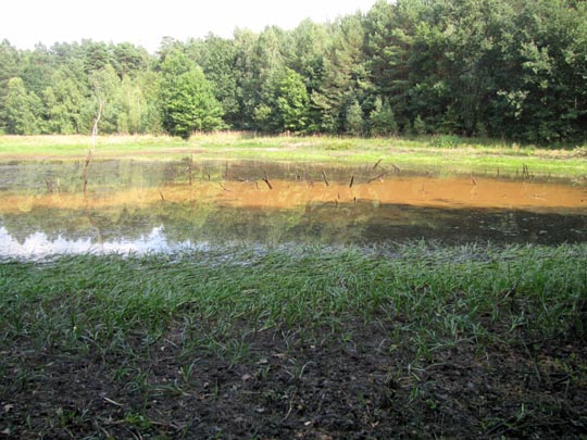 In der Ostprignitz, 2009 bis 2012