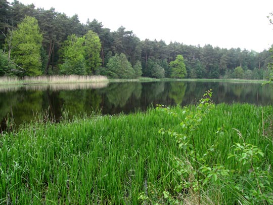 In der Ostprignitz, 2009 bis 2012