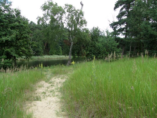In der Ostprignitz, 2009 bis 2012