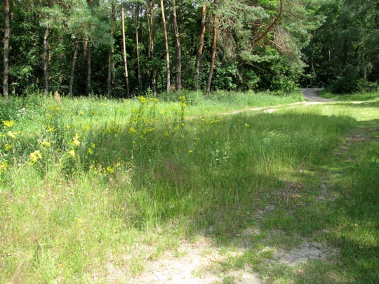 In der Ostprignitz, 2009 bis 2012