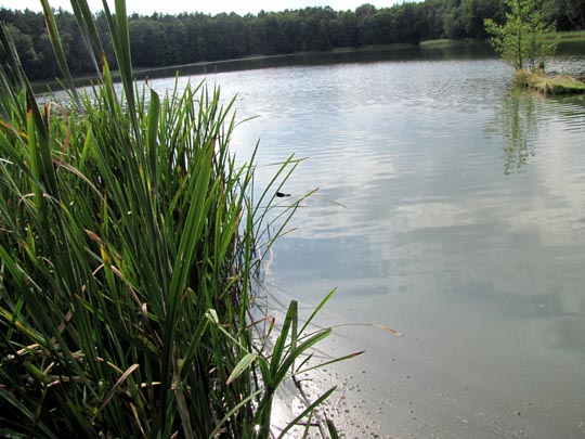In der Ostprignitz, 2009 bis 2012