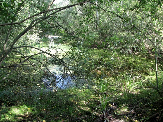 In der Ostprignitz, 2009 bis 2012