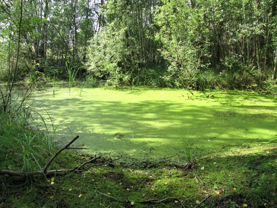 In der Ostprignitz, 2009 bis 2012