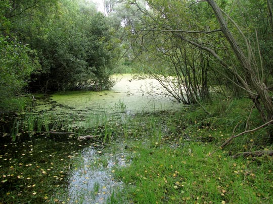 In der Ostprignitz, 2009 bis 2012