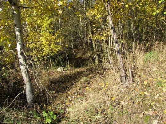 In der Ostprignitz, 2009 bis 2012
