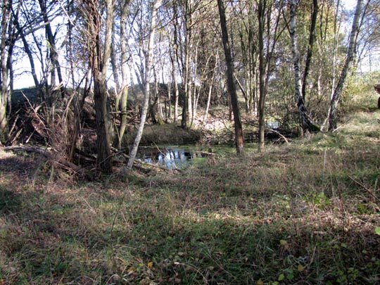 In der Ostprignitz, 2009 bis 2012