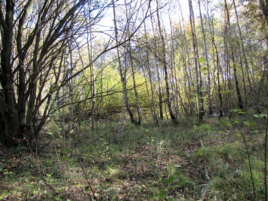 In der Ostprignitz, 2009 bis 2012