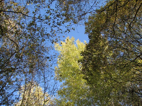 In der Ostprignitz, 2009 bis 2012