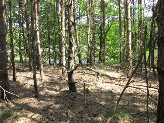 In der Ostprignitz, 2009 bis 2012