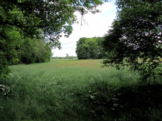 In der Ostprignitz, 2009 bis 2012