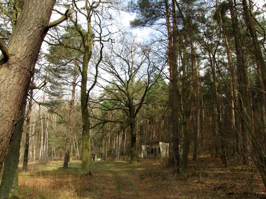 In der Ostprignitz, 2009 bis 2012