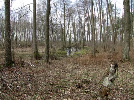 In der Ostprignitz, 2009 bis 2012