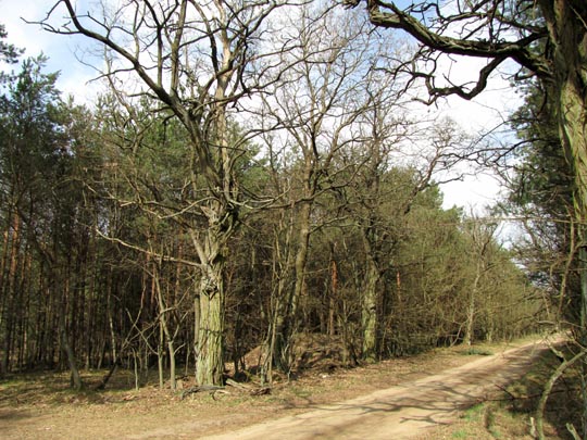 In der Ostprignitz, 2009 bis 2012