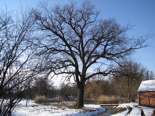 Rund um Rühstädt, März 2013