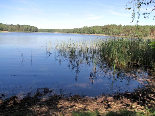 Frauensee