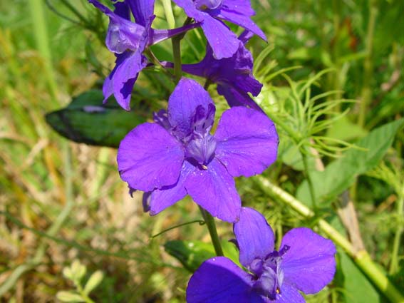 Sommer 2004