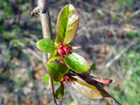 Frühling 2007