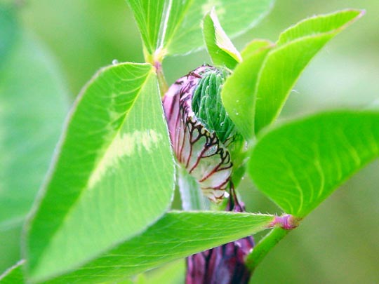 Frühling 2008