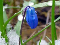 Frühling 2008