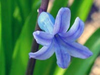 Frühling 2008