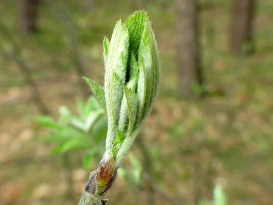 Frühling 2014
