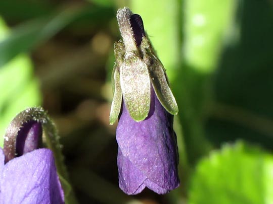 Vor-Frühling 2014