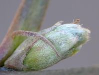 Vor-Frühling 2014