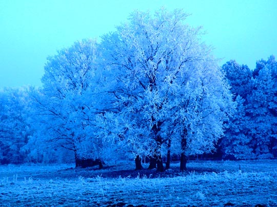 Winter 2007