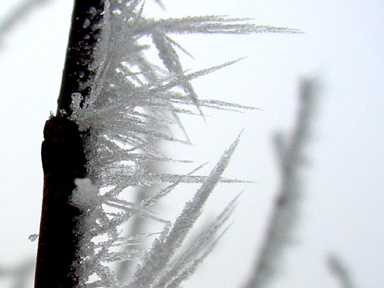 Winter 2007