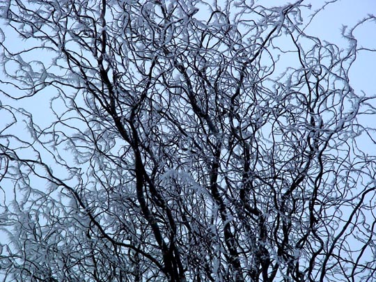 Winter 2007