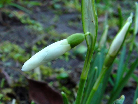 Winter 2007/2008