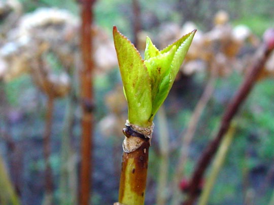 Winter 2007/2008