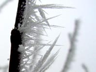 Winter 2007