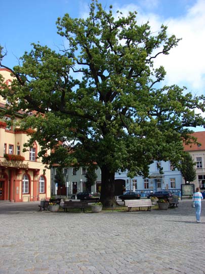 Kyritz 2007