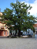 Kyritz 2007