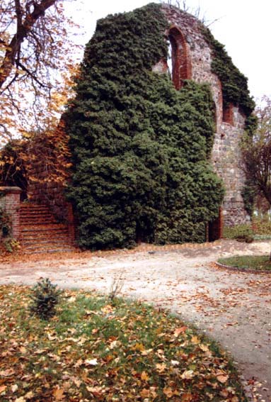 Lindow