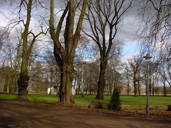 Meyenburg
