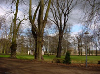 Meyenburg