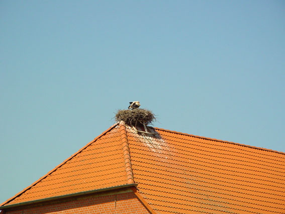 Rühstädt