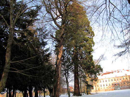 Rühstädt