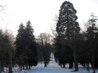 Rühstädt