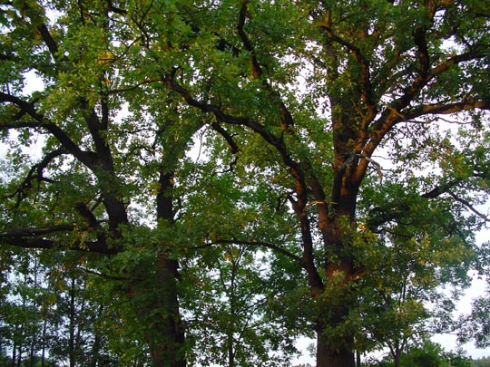 Teetz in der Prignitz, Brandenburg