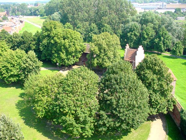 Wittstock