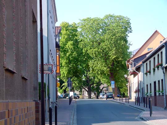 Teupitz